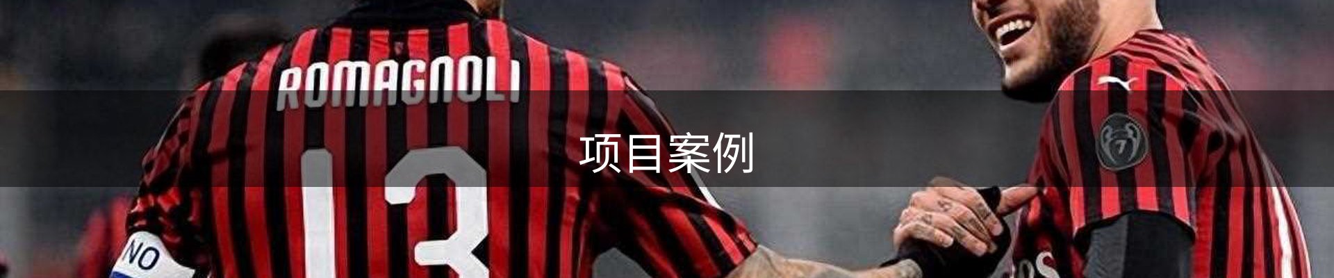 项目案例